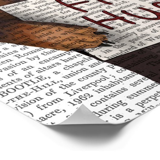 Dachshund Free Hugs Poster (Ecke)