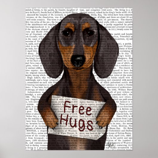 Dachshund Free Hugs Poster (Vorne)