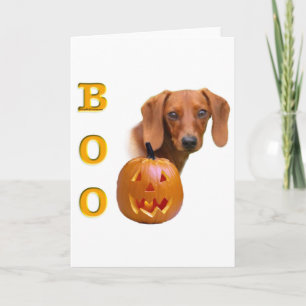 Dachshund (glatt) Boo Feiertagskarte