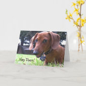 Dachshund Grüße Karte (Gelbe Blume)
