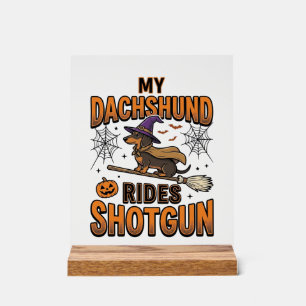 Dachshund Halloween Hexen Besen fährt Shotgun-Shir Acrylschild