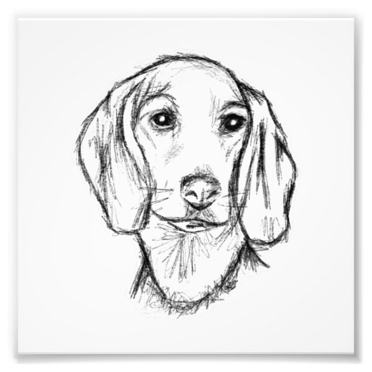 dachshund hand drawn sketch black white puppy dog  fotodruck (Vorne)