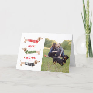 Dachshund Haustierhund Lustiges Foto Weihnachtskar Feiertagskarte