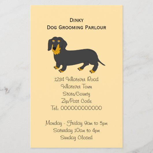 Dachshund-Hund-Design Hundepflege- Flyer (Vorne)
