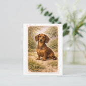 Dachshund im Vintage-Stil Postkarte (Stehend Vorderseite)