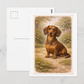 Dachshund im Vintage-Stil Postkarte (Vorne/Hinten)