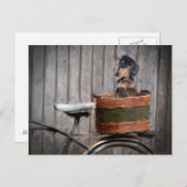 Dachshund In a Basket PostcardMagnet Postkarte (Vorne/Hinten)