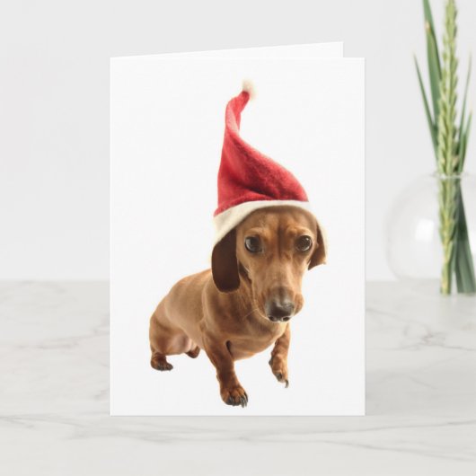 Dachshund in Santa hat Feiertagskarte (Vorderseite)