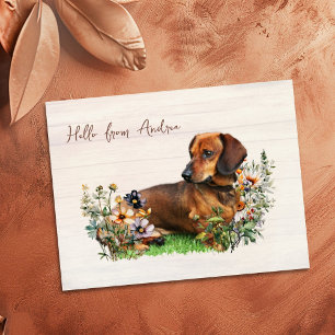 Dachshund in Wildblumen Hallo von Postkarte