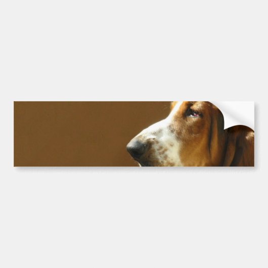 Dachshund-Jagdhund-Foto-Autoaufkleber Autoaufkleber (Vorne)