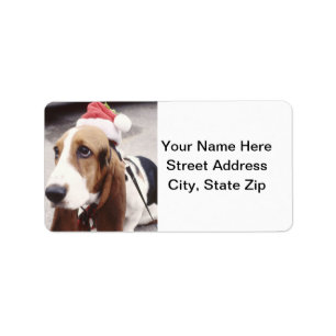 Dachshund-Jagdhund in der Weihnachtsmannmütze Adressaufkleber