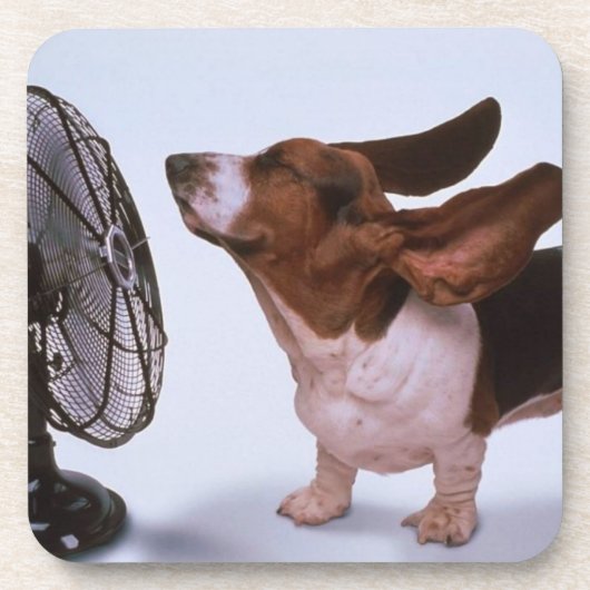 Dachshund-Jagdhund-Untersetzer Untersetzer (Vorderseite)