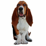 Dachshund-Jagdhundhundeporträt-Fotoskulptur Freistehende Fotoskulptur<br><div class="desc">Schönes Porträt einer DachshundjagdhundhundeFotoskulptur.  große Geschenkidee für Hundeliebhaber</div>