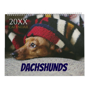 Dachshund-Kalender Hund 2027 Foto Kalender