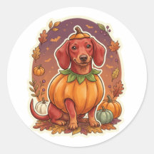Dachshund-Kürbiskostüm Halloween-Aufkleber