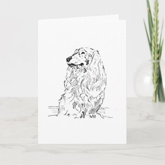 Dachshund – Langhaariger Dackel Karte (Vorderseite)