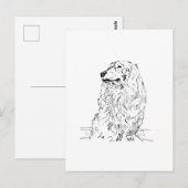 Dachshund – Langhaariger Dackel Postkarte (Vorne/Hinten)