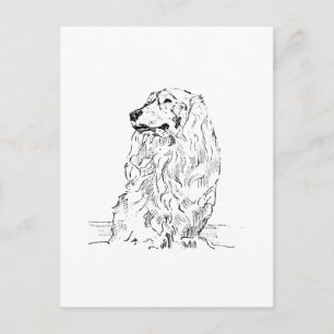 Dachshund – Langhaariger Dackel Postkarte