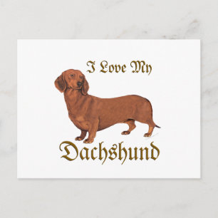 Dachshund Liebe Postkarte