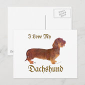 Dachshund Liebe Postkarte (Vorne/Hinten)