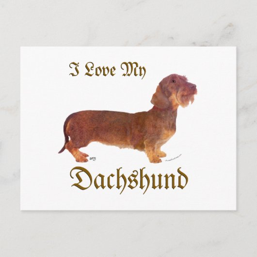 Dachshund Liebe Postkarte (Vorderseite)