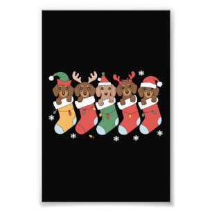 Dachshund Mama Weihnachten Hundeliebhaber Geschenk Fotodruck