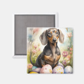 Dachshund mit Ostereiern Magnet (Vorderseite/Rückseite)