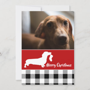 Dachshund mit Strumpf Weihnachtsfoto Feiertagskarte