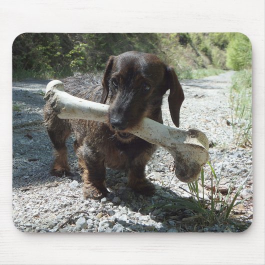 Dachshund Mousepad (Vorne)