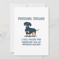 Dachshund Personal Stalker