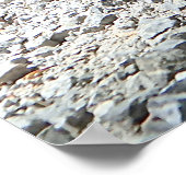 Dachshund Poster (Ecke)