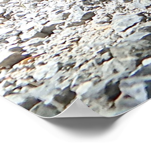 Dachshund Poster (Ecke)