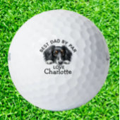 Dachshund Puppy  Golfball