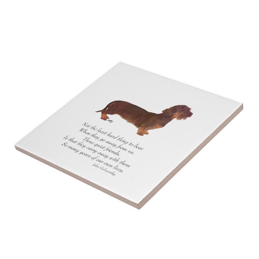 Dachshund Rainbow Bridge Fliese (Seite)