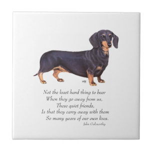 Dachshund Rainbow Bridge Fliese
