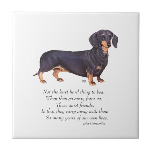 Dachshund Rainbow Bridge Fliese (Vorderseite)