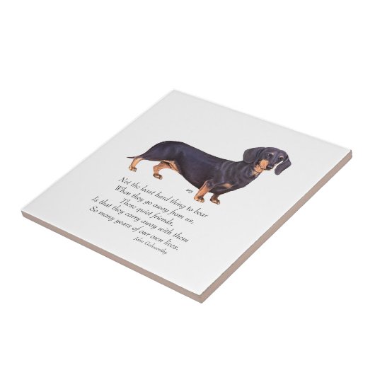 Dachshund Rainbow Bridge Fliese (Seite)