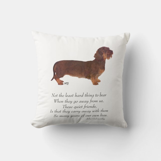 Dachshund Rainbow Bridge Kissen (Vorderseite)