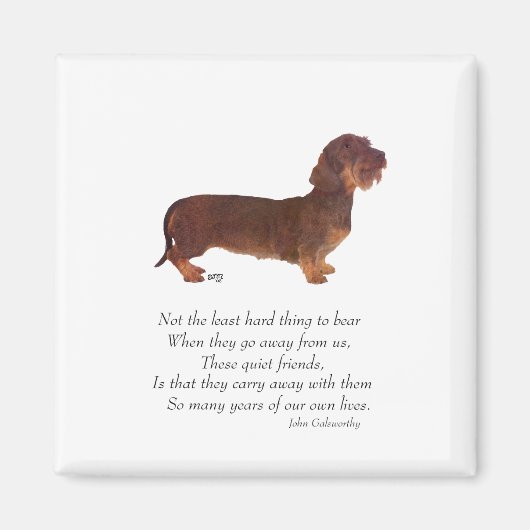 Dachshund Rainbow Bridge Magnet (Vorne)