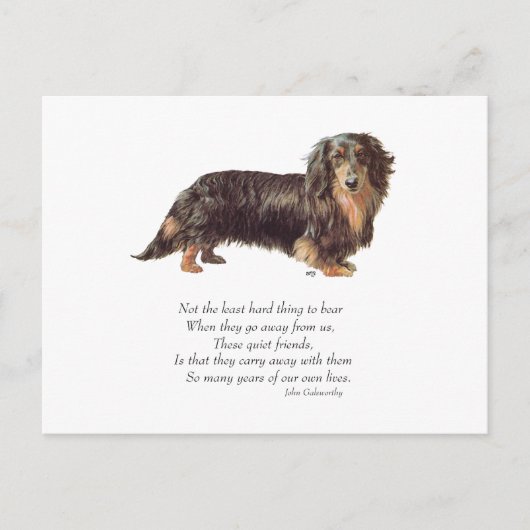 Dachshund Rainbow Bridge Postkarte (Vorderseite)