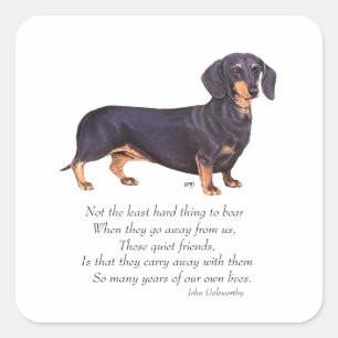 Dachshund Rainbow Bridge Quadratischer Aufkleber