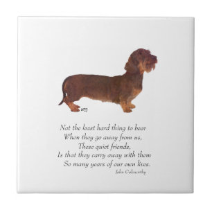 Dachshund Regenbogenbrücke Fliese