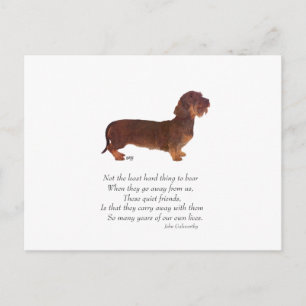Dachshund Regenbogenbrücke Postkarte