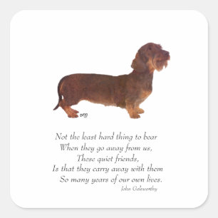 Dachshund Regenbogenbrücke Quadratischer Aufkleber