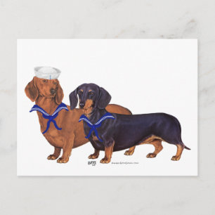 Dachshund Seeleute Postkarte