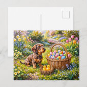 Dachshund sitzt mit Osterkorb im Garten Postkarte (Vorne/Hinten)