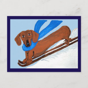 Dachshund Skifahren Postkarte