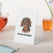 Dachshund Sockelschild (In SItu)