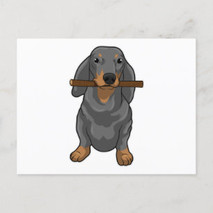 Dachshund Stock Postkarte