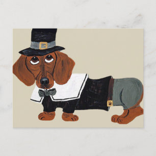 Dachshund Thanksgiving Pilger Feiertagspostkarte